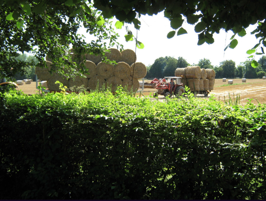 Uitzicht vanuit voortuin vakantiehuis Bourgogne Les champs de Fleury Uitzicht vanuit voortuin vakantiehuis Bourgogne Les champs de Fleury