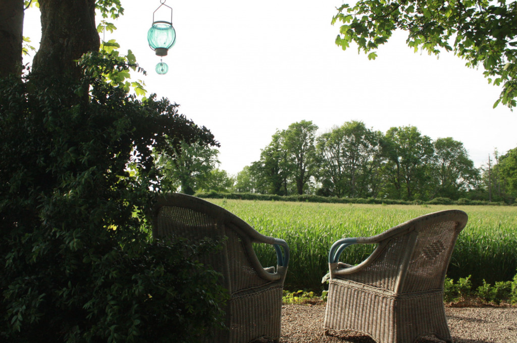 Vrij uitzicht over de velden Les champs de Fleury Vakantie in de Bourgogne Frankrijk