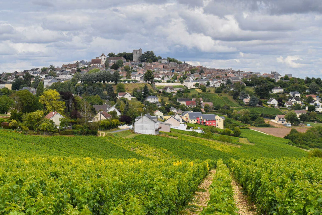 vins-Sancerre-ge288d96e8_1280 Sancerre - Vins